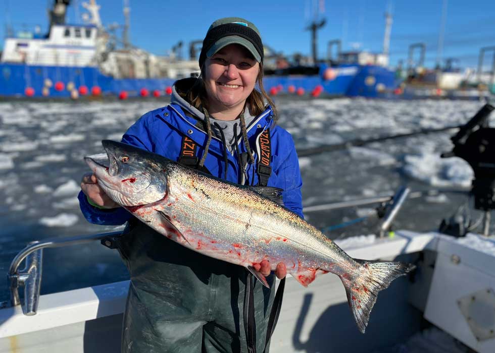 types of salmon in alaska types of salmon in alaska